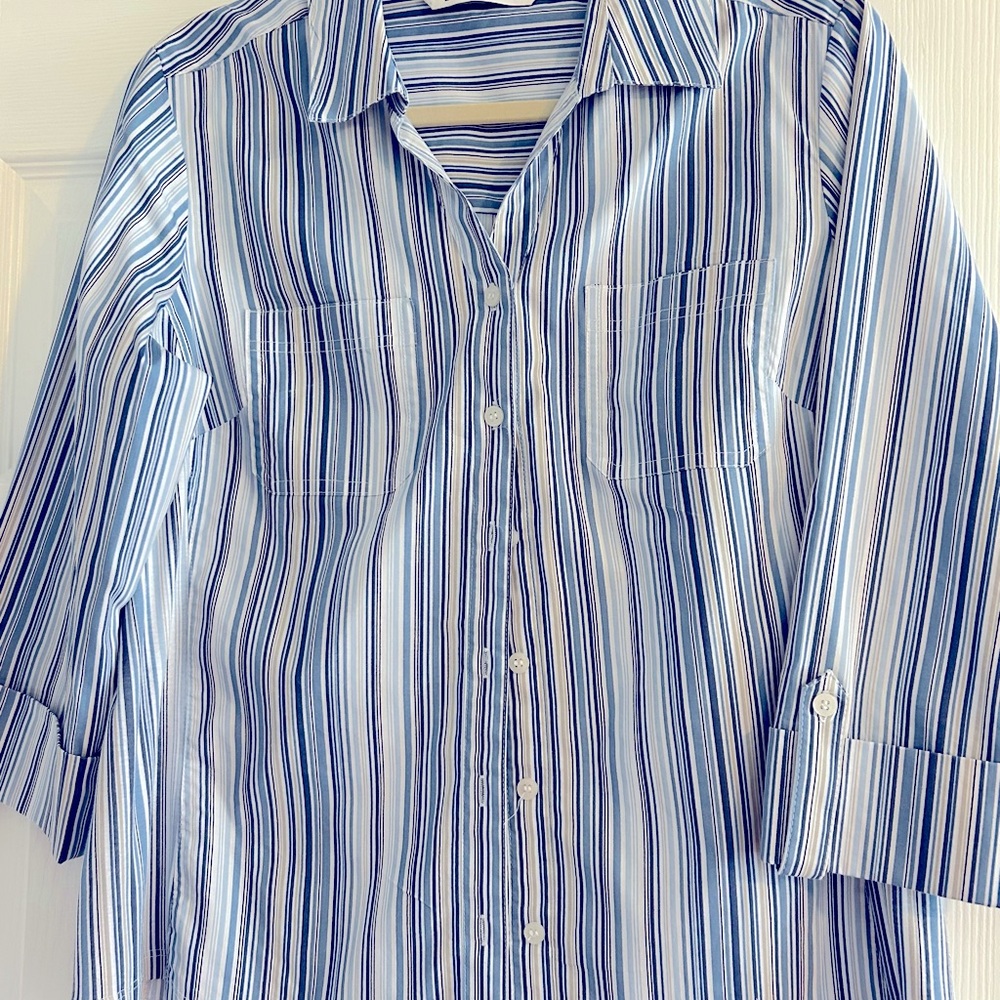 Stylish & Crisp Emily Daniels Blue Striped Women’s Large Shirt - NWOT